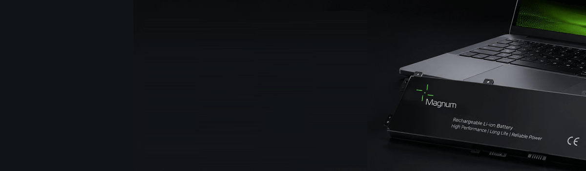 dsfdsfd